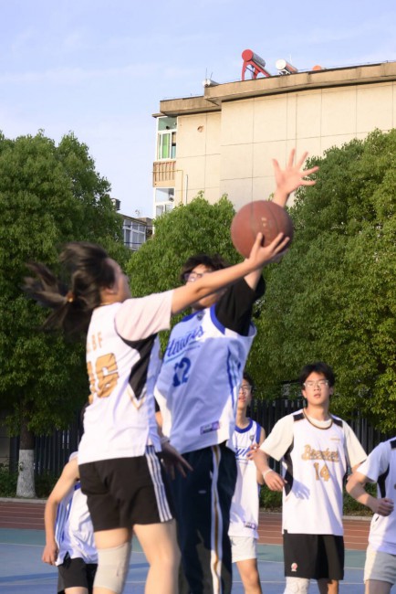4982261e114889e2cc14f03589b7e428_720.JPG