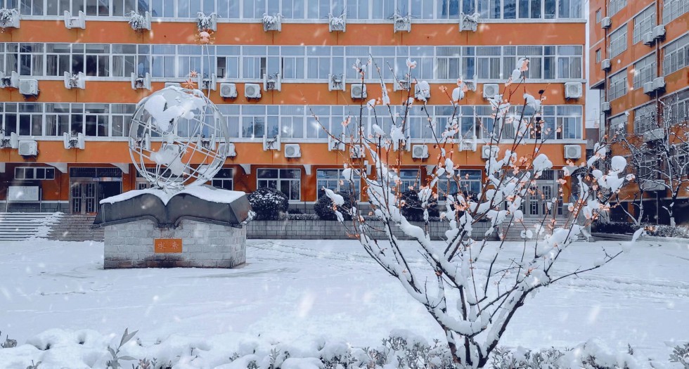 初雪.jpeg