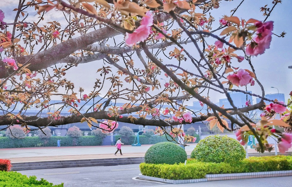 校園一景.jpeg